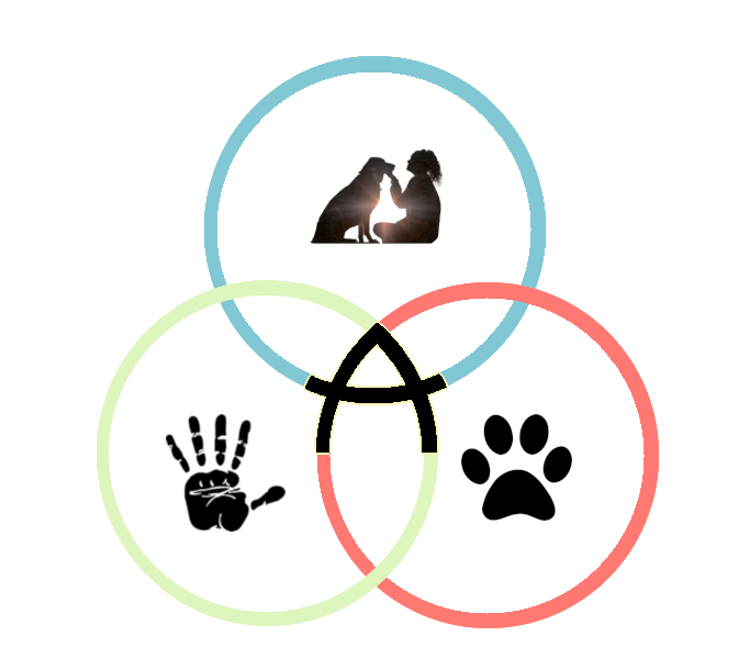 A-compagnons